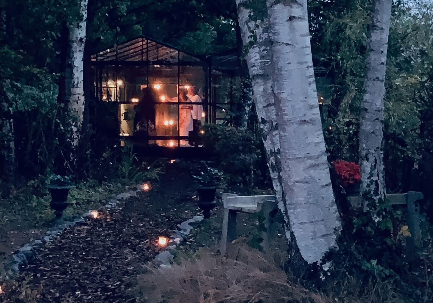 Witte berkenstammen voor de sfeervol verlichte Yoga Kas in Vught.