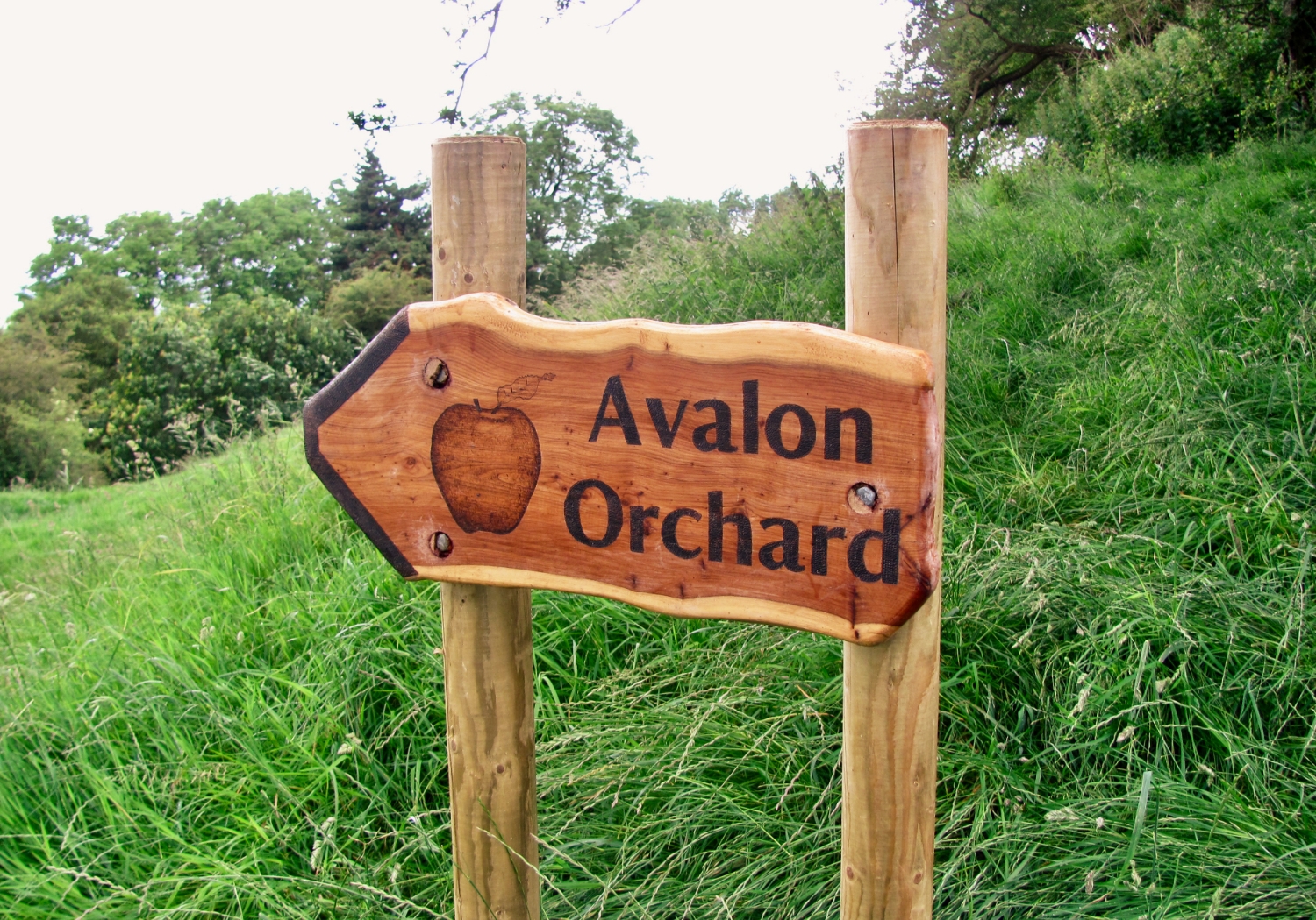 Avalon Orchard waypoint