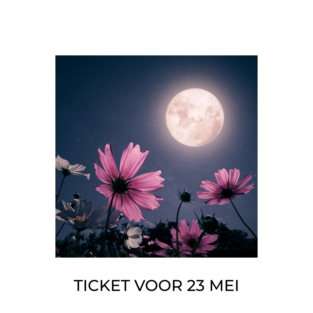 Workshop MaanZin