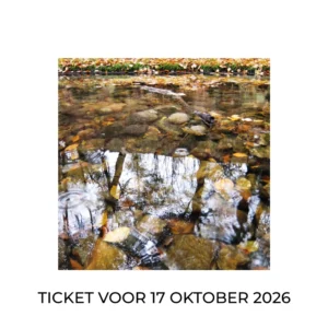 Leven vanuit jouw Bron